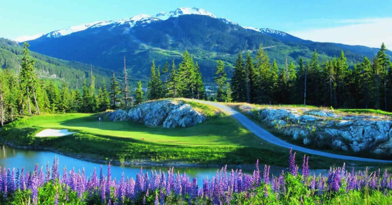 Bright Suite At Ski In/Out Glacier Lodge! Whistler Exterior photo